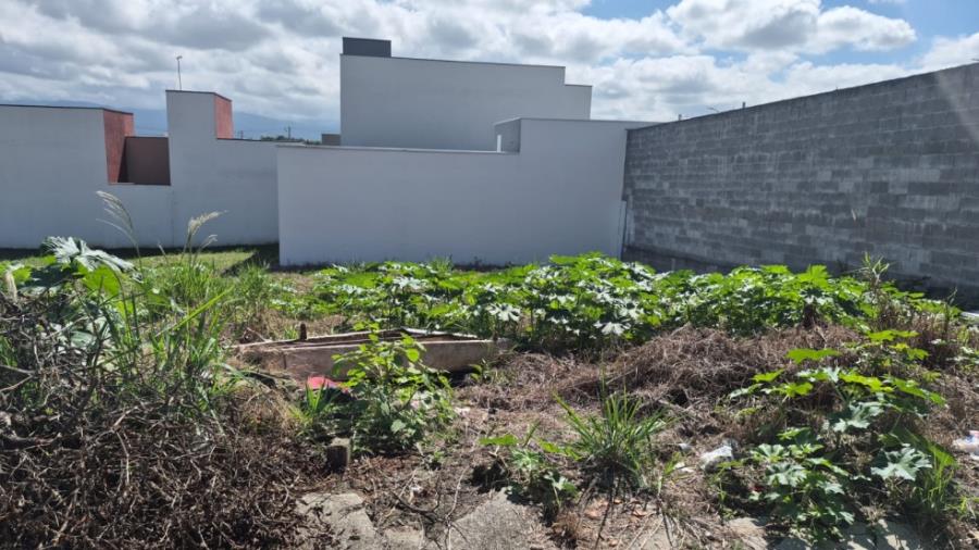 Lote 9 - Pindamonhangaba - SP - Loteam. Santa Clara - Terreno
